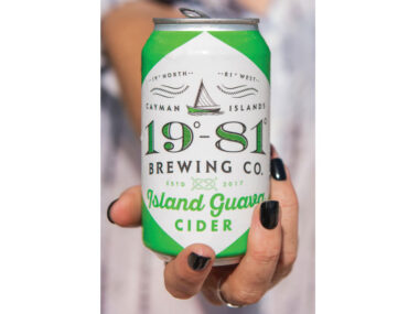 1981 Brewing Company Island Guava Cider - Cans