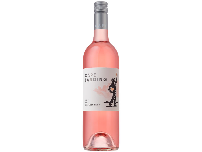 Cape Landing Rose