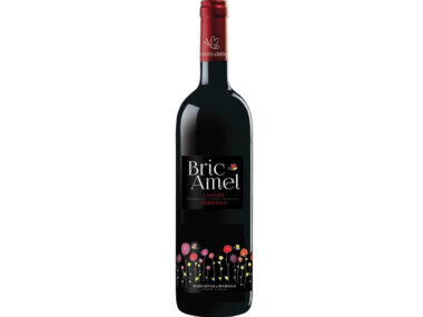 Marchesi Di Barolo Bric Amel Langhe Nebbiolo